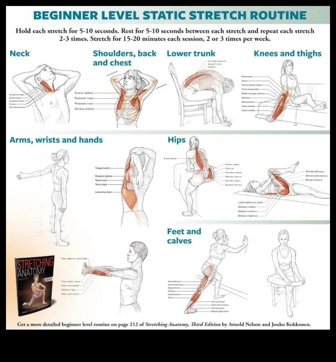 Stretching Mastery Un ghid pentru crearea propriei rutine personale de flexibilitate 2 Întinderea măiestriei: creați-vă rutina personală de flexibilitate