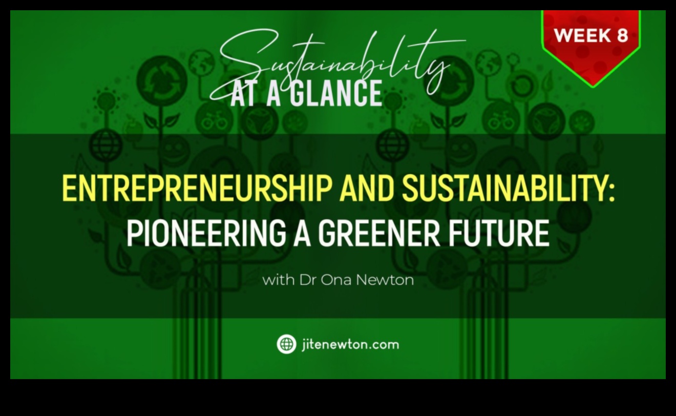 Eco Sparks: aprinderea inovației în soluții durabile