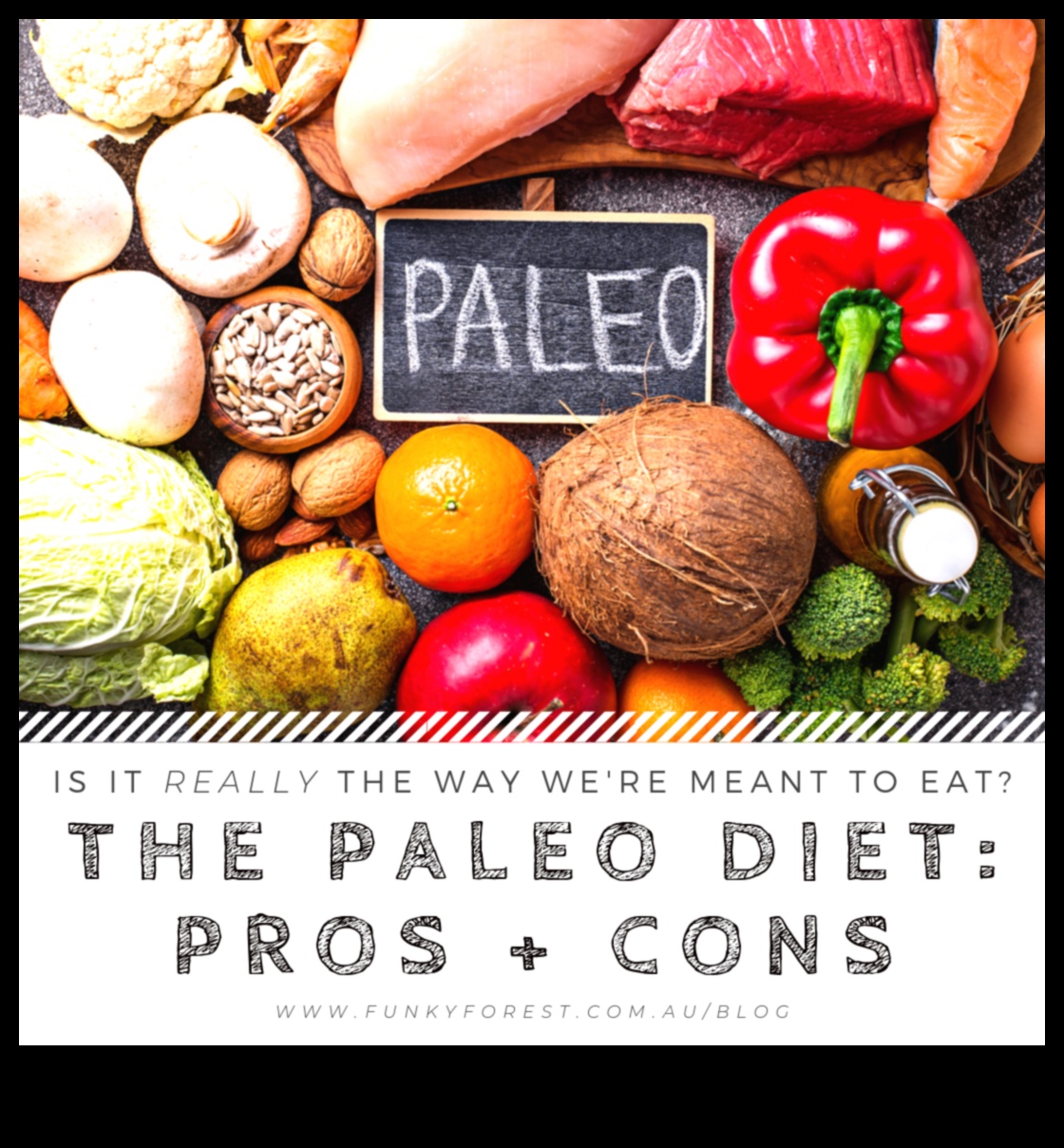 Știința și controversele dietei paleo 3 Știința din spatele Paleo: Cum funcționează dieta paleolitică?