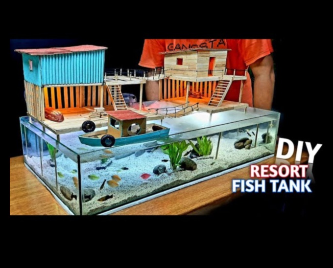 Fish Tank Funhouse Proiectarea unui mediu jucăuș pentru pești 4 Fish Tank Funhouse: Proiectarea unui mediu jucăuș pentru pești