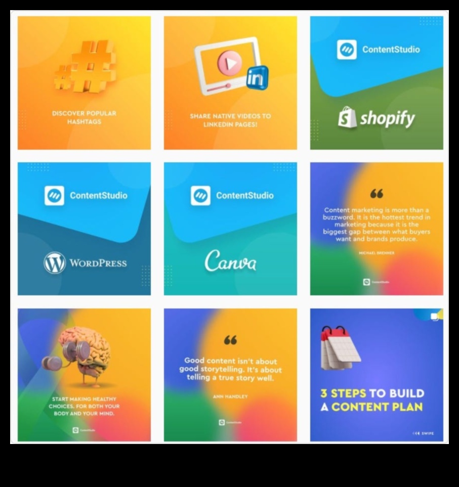 Secvențe de grilă: navigarea pe căile campaniilor Instagram de succes