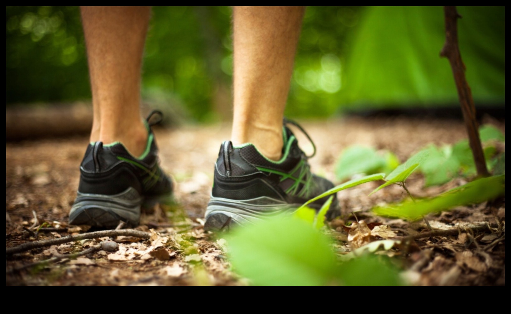 Seninătate în aer liber: contribuția naturii la sănătatea mintală în timpul exercițiilor fizice