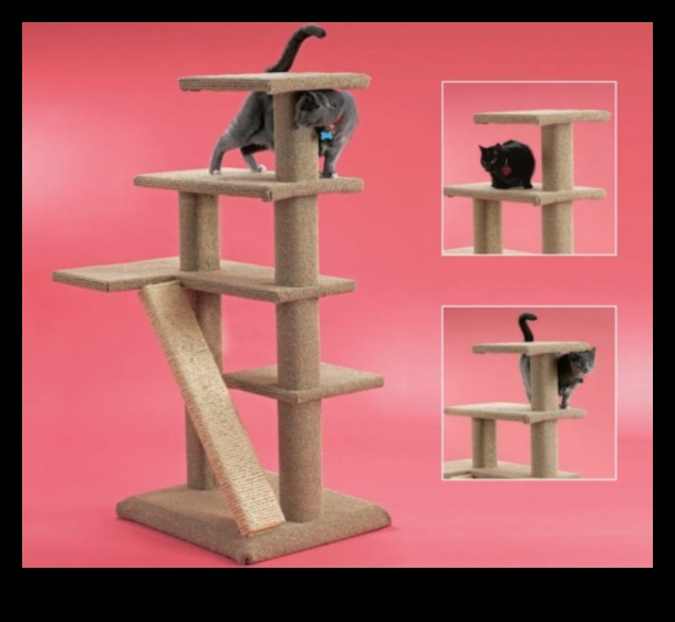 Cat Condo Construction: DIY Structuri de cățărat pentru pisici