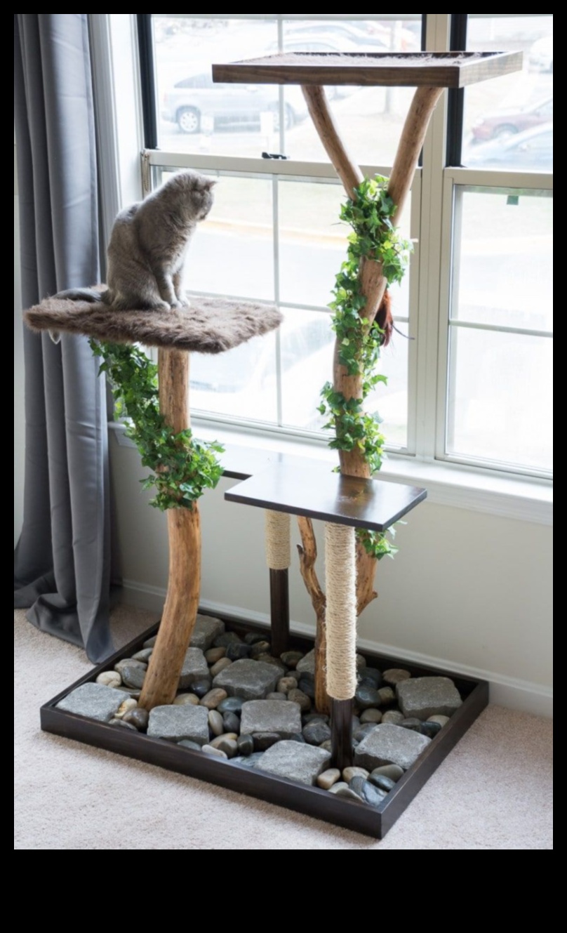 Cat Condo Construction: DIY Structuri de cățărat pentru pisici