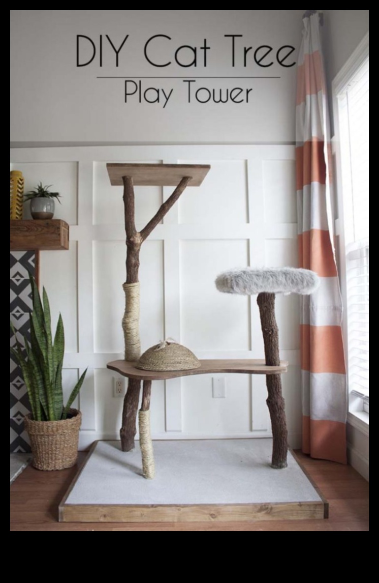 Cat Condo Construction: DIY Structuri de cățărat pentru pisici