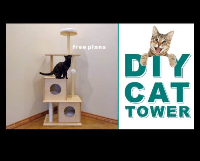 Cat Condo Construction: DIY Structuri de cățărat pentru pisici