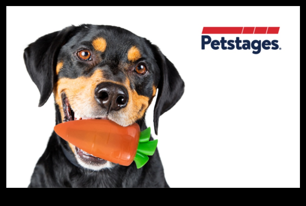 Canine Carrot Crunch Jocuri sănătoase de gustare pentru câini 5 Canine Carrot Crunch: Jocuri sănătoase de gustare pentru câini