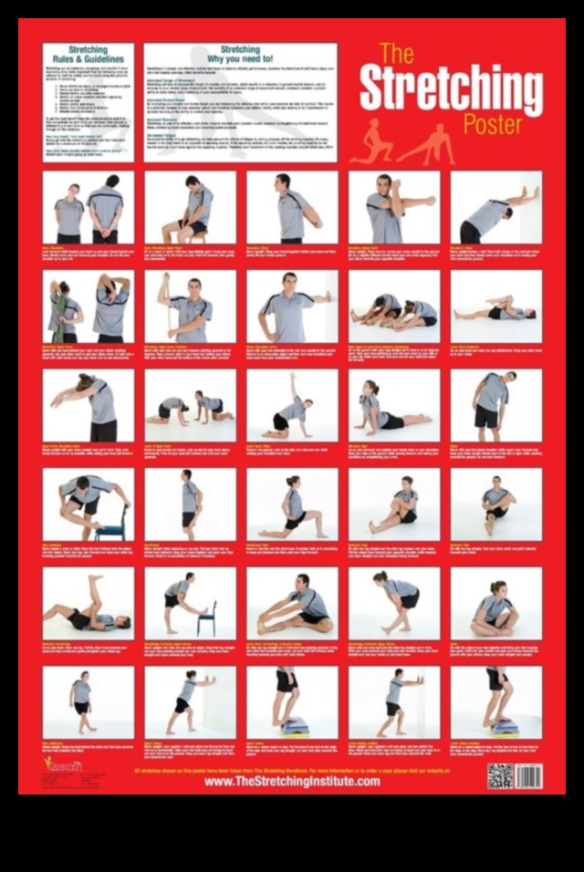 Elemente esențiale de întindere: crearea unui plan pentru flexibilitate zilnică