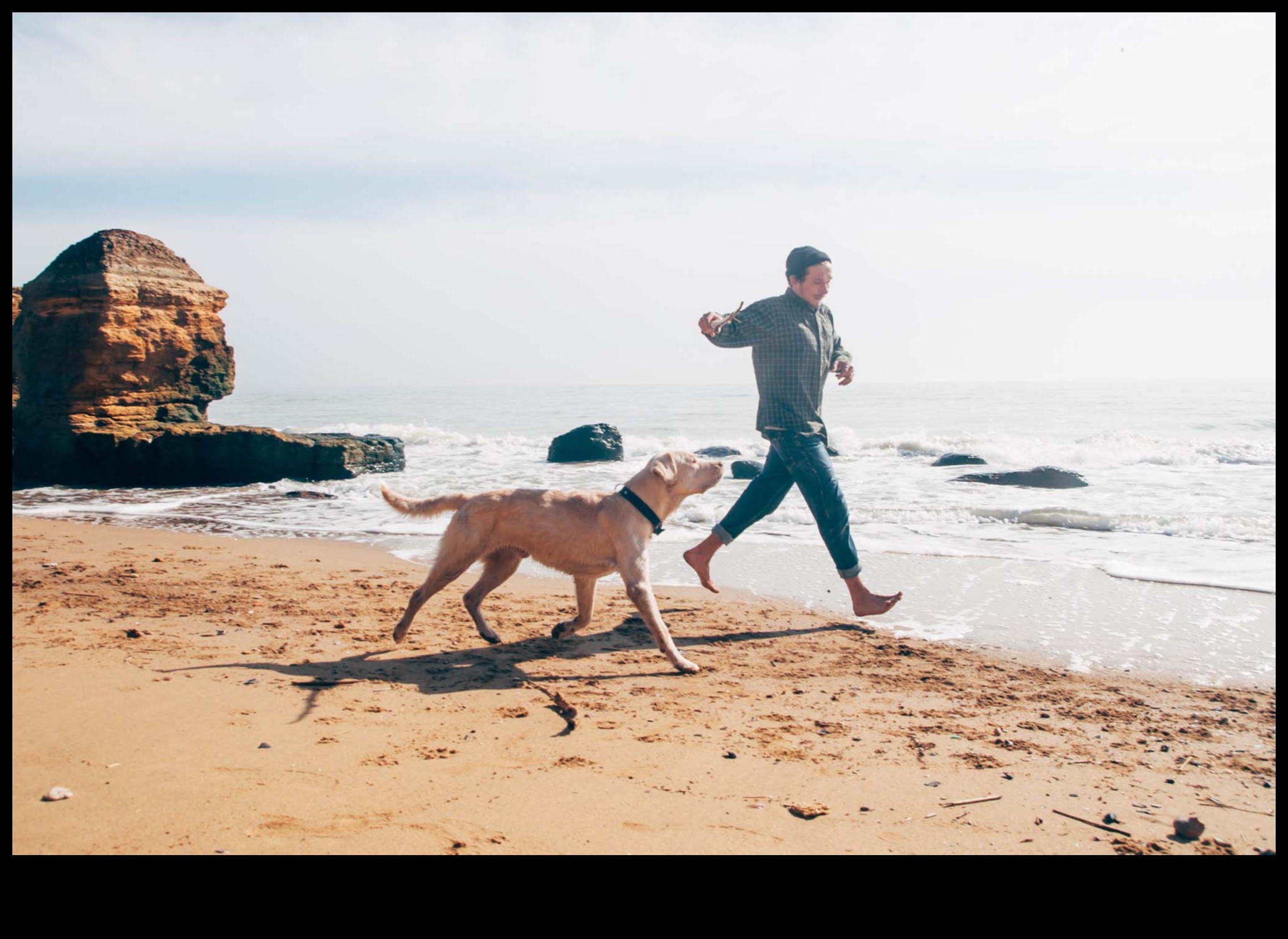 Destinații pentru câini care planifică evadarea perfectă pentru animalele de companie 2 Destinații pentru câini: planificarea evadarii perfecte pentru animalele de companie