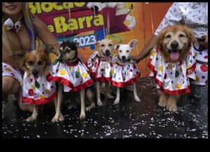 Carnavalul Canin: Activități interesante pentru câini energici