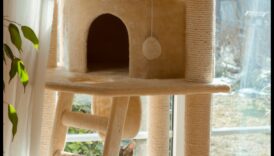 Cat Condo Construction: DIY Structuri de cățărat pentru pisici