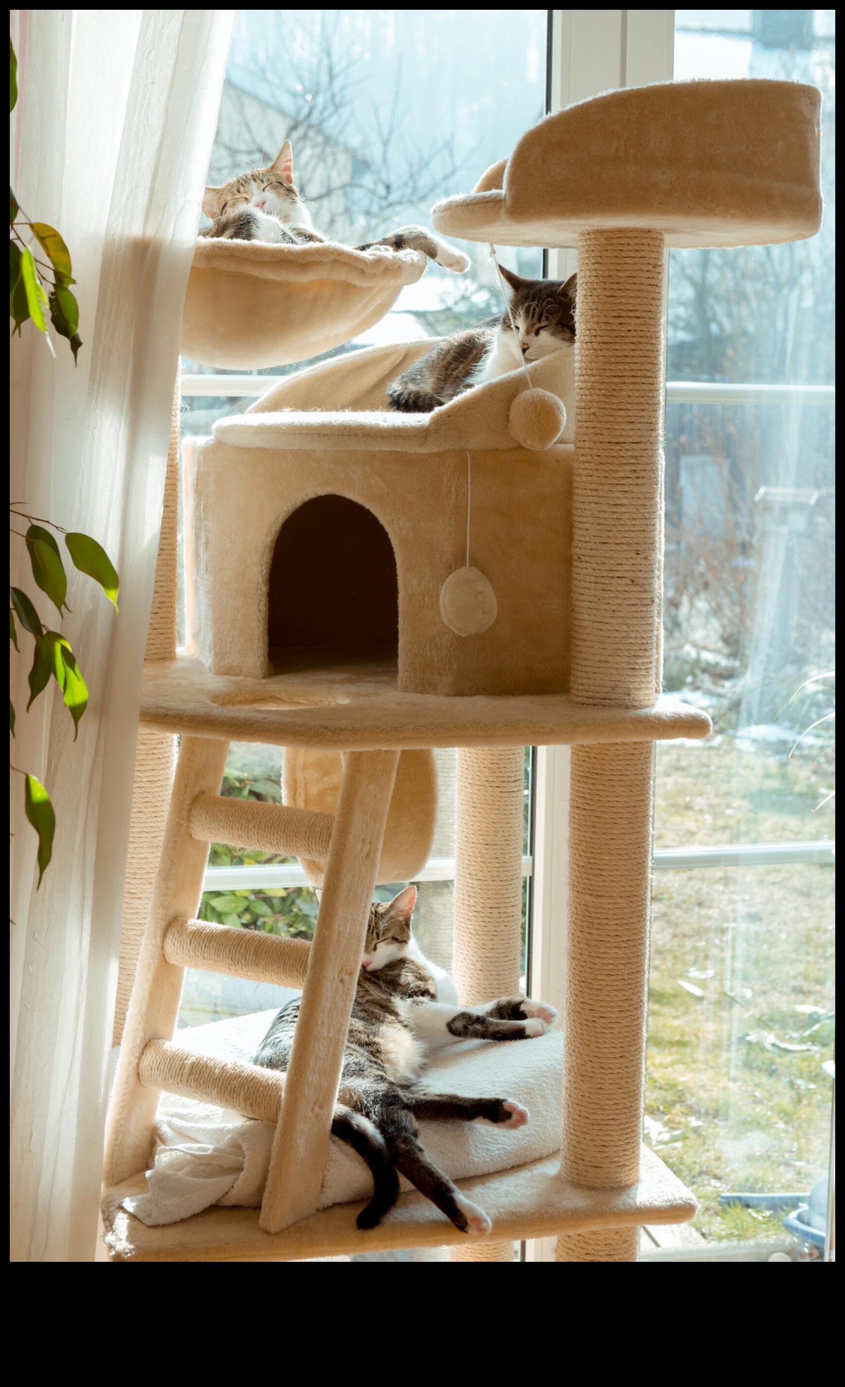 Cat Condo Construction: DIY Structuri de cățărat pentru pisici
