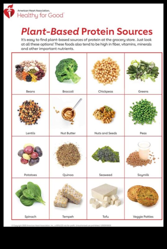 Dietele bogate în proteine ​​și managementul tensiunii arteriale: o abordare cuprinzătoare