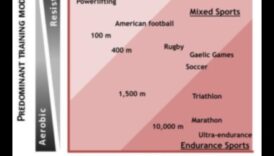 Raceala cu conținut scăzut de carbohidrați, prietenul sau dușmanul performanței sportive 2 Poate o dietă cu conținut scăzut de carbohidrați să susțină performanța atletică?