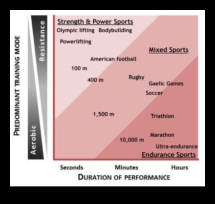 Poate o dietă cu conținut scăzut de carbohidrați să susțină performanța atletică?
