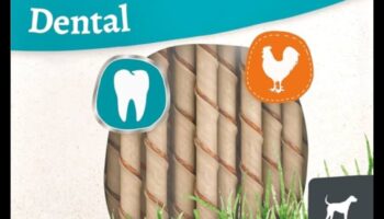 Doggy Dental Delights: mestecă și trata pentru sănătatea dentară