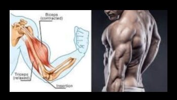 Dynamic Arm Duo: Antrenamente pentru bicepși și tricepși pentru o forță echilibrată