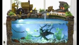 Fish Tank Funhouse: Proiectarea unui mediu jucăuș pentru pești