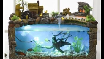 Fish Tank Funhouse: Proiectarea unui mediu jucăuș pentru pești
