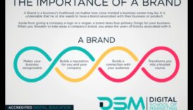 Instagram Insights: Navigarea brandingului personal prin elemente vizuale