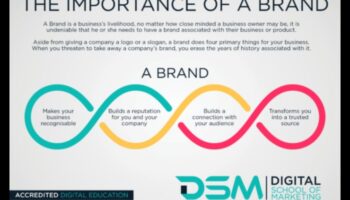 Instagram Insights: Navigarea brandingului personal prin elemente vizuale