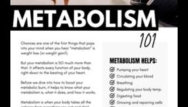 Stăpânirea metabolică: cum exercițiul crește eficiența calorică a corpului