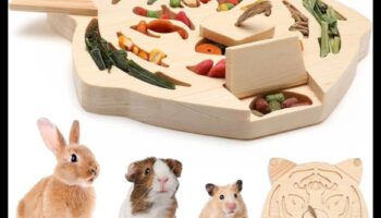 Timp de joacă pentru hamsteri Continuare: Jucării interactive pentru stimularea mentală